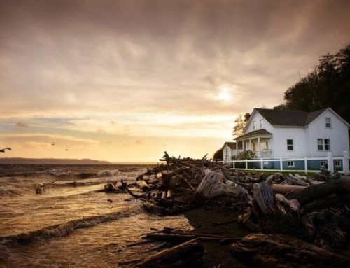 Hurricane Season Prep: Tips for a Safe Home